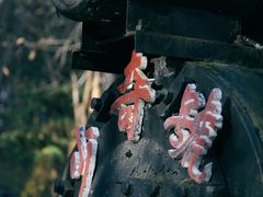 -五营红松林海景区