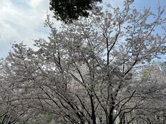 -武汉长江大桥