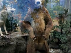 -国家自然博物馆