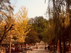 -井塘古村