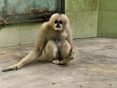 -石家庄市动物园