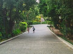 -福建鲤鱼洲酒店