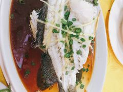 -浩海美食店(闸坡店)