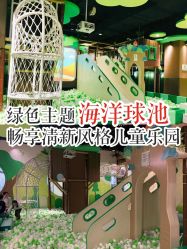 -绿野星空儿童乐园
