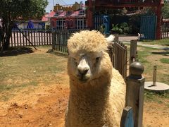 -云漫湖生态度假公园