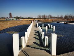 -春花秋色城市公园