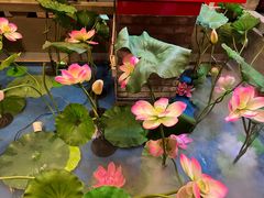 -七里川健康火锅(总店)