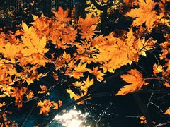 -本溪老边沟风景区