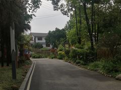 -往来·竹里.宝宝宴.生日宴.团建.宴席(花乡农居店)