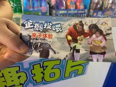 -芜湖新华联大白鲸海洋公园