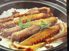 -顺德了能馆(虎门店)