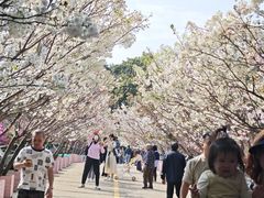 -观澜湖生态运动公社