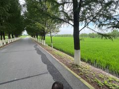 -嘉北郊野公园
