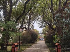 -上海长兴岛郊野公园