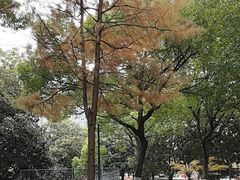 -苏州河梦清园环保主题公园