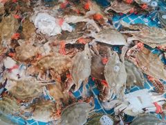 -蓝珊甄选海鲜自助·火锅大排档(近阿那亚店)