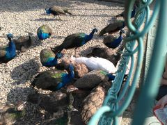 -南京金牛湖风景区