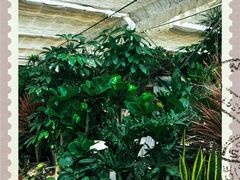 -秦美花卉(天朗·莱茵小城2期店)