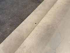 -YCHL Studios健身工作室(市二宫店)