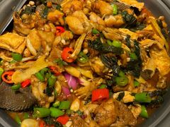 -淘蛙(广州星寰国际商业中心店)