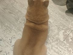 -小时光咖啡馆(北锣鼓巷店)