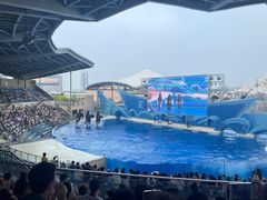 -上海海昌海洋公园