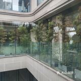 简直是爱了。服务员服务周到细致，赞！