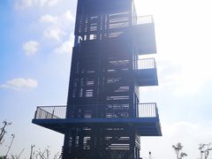 -春花秋色城市公园