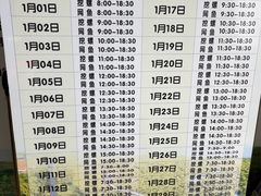 -北海金海湾红树林生态旅游区