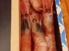 -鮨政· Omakase(港汇恒隆广场店)