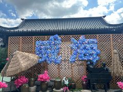 -威海华夏城景区