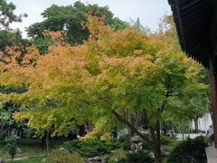 -秋霞圃