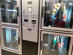 -约翰·菲茨杰拉德·肯尼迪国际机场