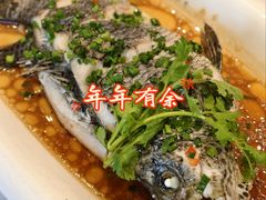 -齐家花园大酒店(宝山店)