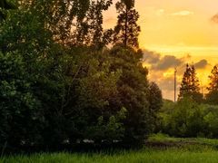 -上海长兴岛郊野公园