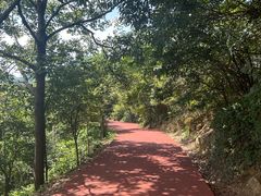 -敬亭山风景名胜区