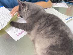 -哆趣宠物医院·眼科·内镜·急重症转诊中心(上海店)