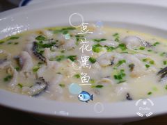 -茅庐毛血旺(烟台大悦城店)