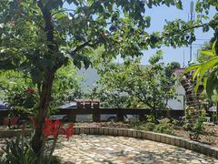 -桃源山庄·水蜜桃采摘·柴火鸡·烧烤团建(龙泉山店)