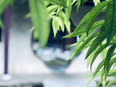 -花洲书院
