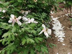 -江南大学(蠡湖校区)