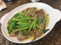 -肥信潮菜(科新路店)