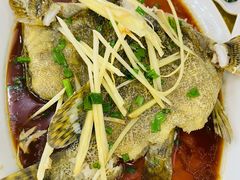 清蒸石斑鱼-浩海美食店(闸坡店)