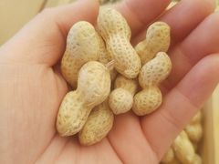 -不觉晓CAMPING(上海迪士尼营地店)