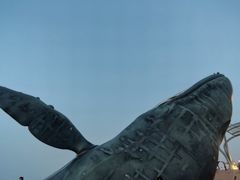 -烟台金沙滩海滨公园