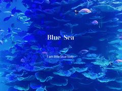 -泉城欧乐堡海洋极地世界