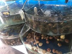 -叶存利海鲜大馅饺子(东戴河止锚湾店)