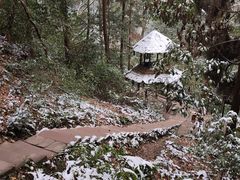 -青城山