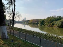 -海珠湖公园