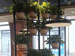 -汉堡王(武清创意米兰店)